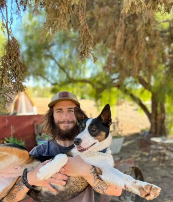 Cachorro abandonado encontrado en lo profundo del bosque provoca un rescate emocional-1