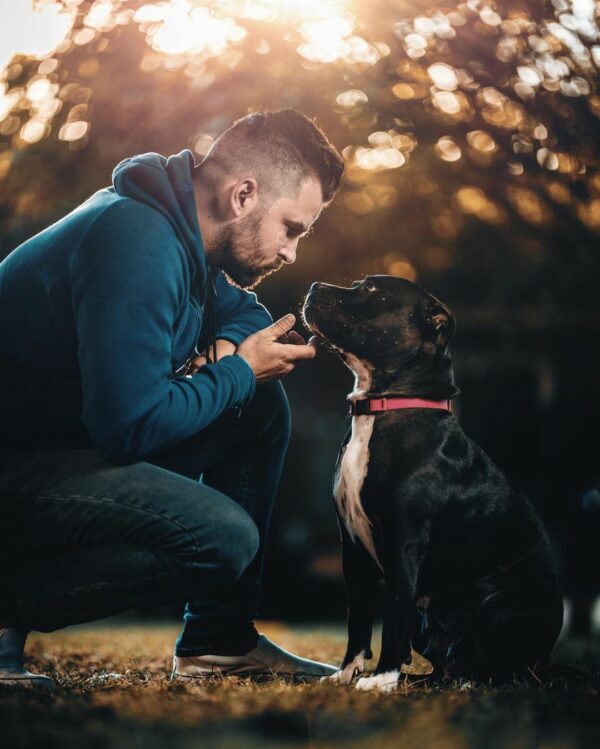 De la desesperación a la alegría: el increíble viaje de una familia de perros necesitada-1