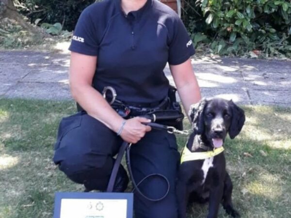 Puppies Discovered in Bucket Overcome Harrowing Start to Thrive in Loving Homes-1