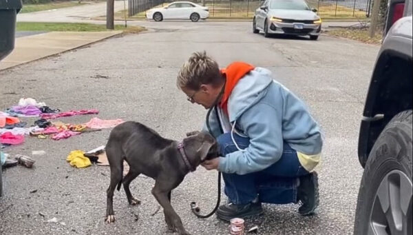 Los rescatistas descubren un cachorro abandonado que necesita desesperadamente ayuda-1