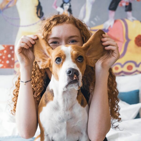 Vea cómo este cachorro ignorado se transformó contra todo pronóstico-1