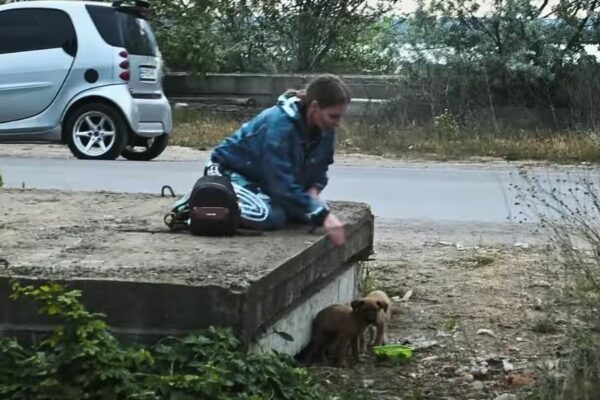 Descubrimiento increíble: una mujer descubre una familia escondida debajo de una losa de concreto-1