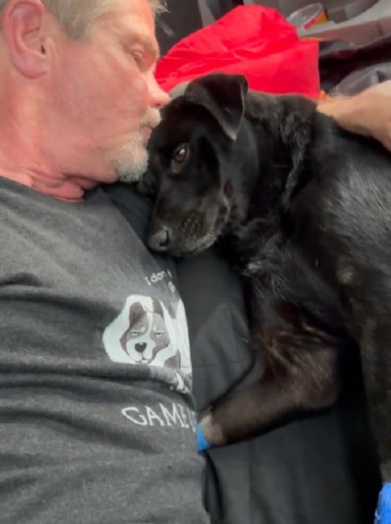 A Rescuer's Heart-Stopping Discovery: The Pup Who Defied the Odds-1