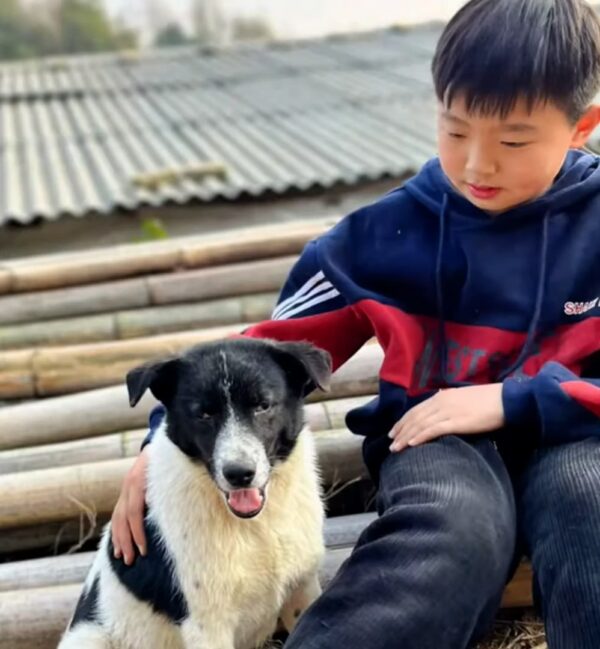 Un descubrimiento inesperado: el pequeño cachorro que lo cambió todo-1