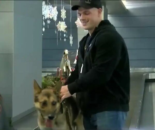 Emotional Reunion: Military Dog and Handler Reunite After Years Apart-1