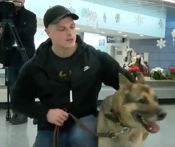 Reunión emocional: perro militar y adiestrador se reúnen después de años separados-1