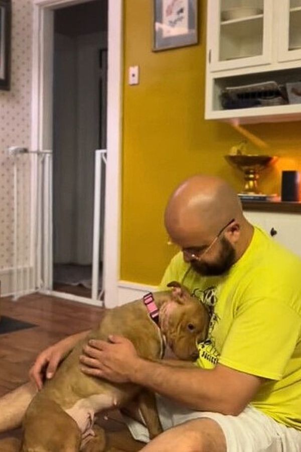 From Tears to Triumph: Abandoned Dog's Journey to Joy in a New Home-1