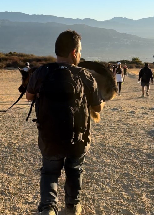 Milagro en la montaña: cómo los extraños se unieron para salvar a un pastor alemán indefenso - 1