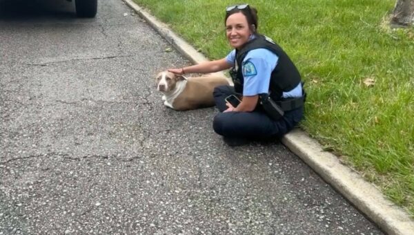 Officers’ Discovery on the Highway Will Tug at Your Heartstrings-1