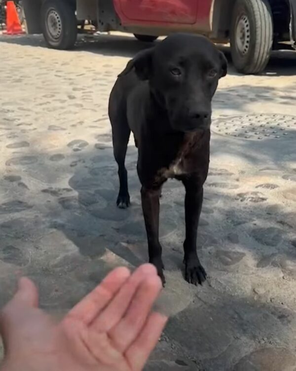 La misión de rescate da un giro inesperado con la revelación 1 que cambia la vida