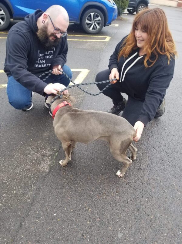 Perro rescatado encuentra alegría en los brazos de su nuevo padre después de años de negligencia-1