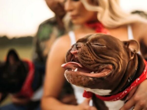 La carrera emocional contra el tiempo de los rescatistas para salvar a un pequeño cachorro con una sonrisa única-1