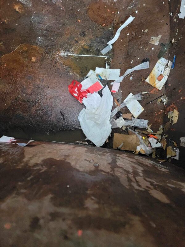 Rescuers Hear Mysterious Cries From Dumpster and Make a Heart-Stopping Discovery-1