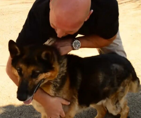 Reunion After Two Years: Man Reconnects with His Loyal Battle Buddy-1