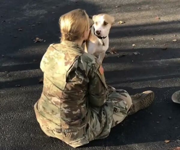 La emotiva reunión de un soldado con un perro después de meses de separación derretirá tu corazón-1