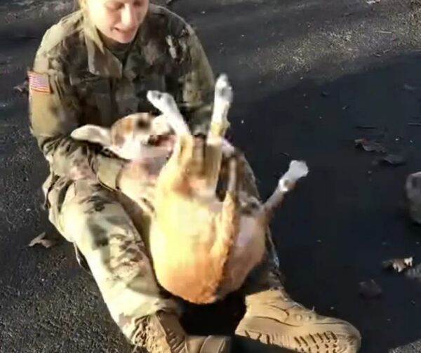 Soldier's Tearful Reunion with Dog After Months Apart Will Melt Your Heart-1