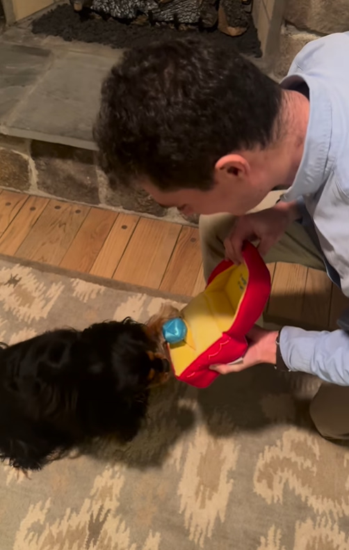 A Proposal Like No Other: A Man's Heartfelt Surprise for His Girlfriend and Her Beloved Dog-1