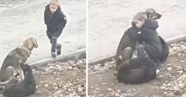 A Simple Act of Kindness: Little Boy's Daily Routine Will Move You to Tears-1