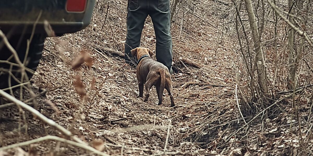 A Truck Driver's Unexpected Discovery in the Woods Unravels a Touching Tale