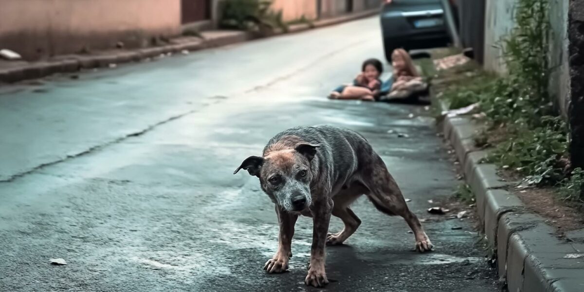 From Despair to Joy: The Incredible Journey of a Neglected Street Creature