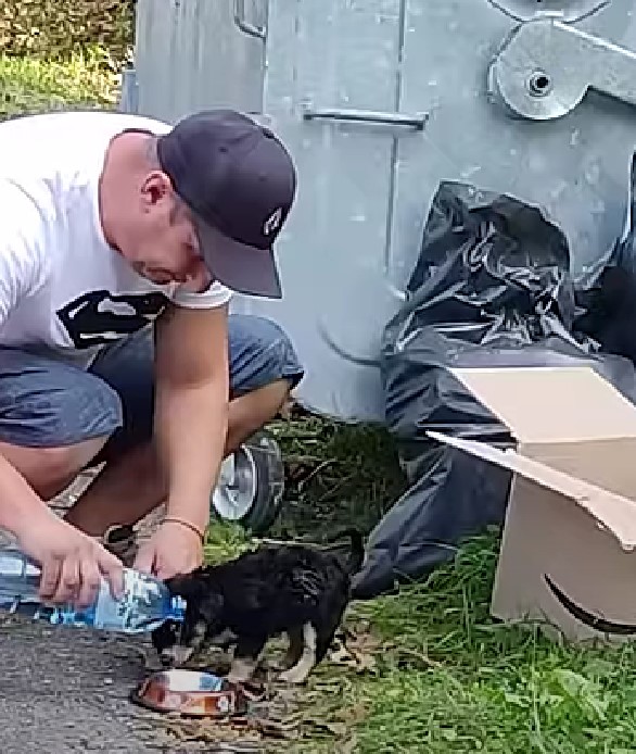 Man's Unexpected Discovery in an Amazon Box Changes Lives Forever-1