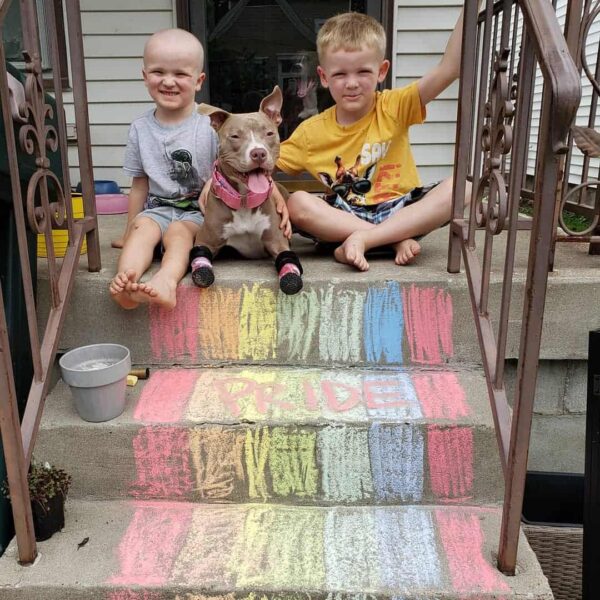 Cachorro rescatado sin patas delanteras encuentra el amor y un nuevo hogar-1