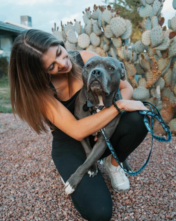 El sincero viaje de un perro incomprendido: de la desesperación al amor incondicional-1