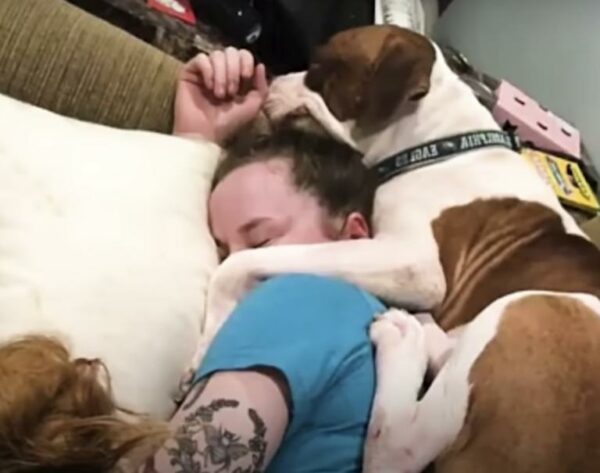 Trembling Pit Bull Finds Hope and Love in the Most Unexpected Place-1