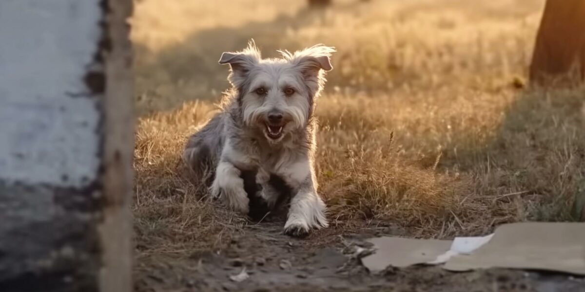 A Journey from Chains to Joy: Discovering the Life Gary Deserved