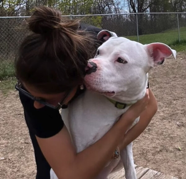 El sincero viaje de un voluntario con un cachorro especial: un giro del destino lo cambia todo-1