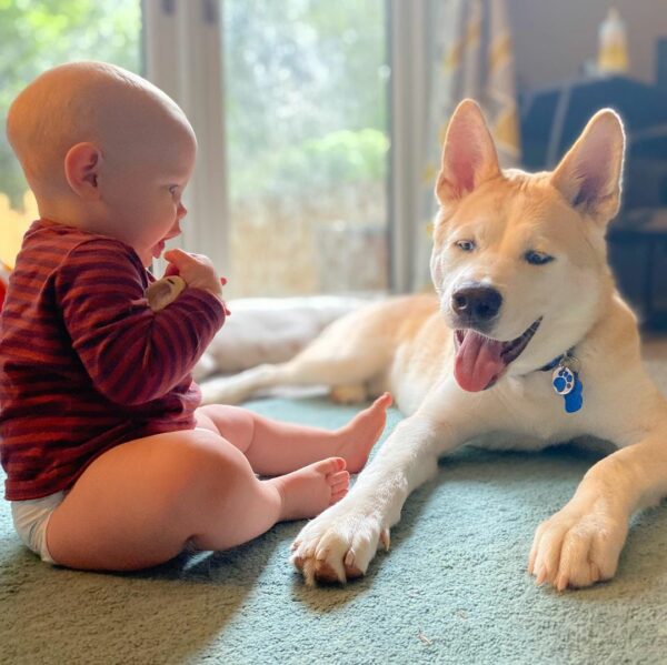 Discover the Unbreakable Bond Between a Dog and His Human Siblings-1