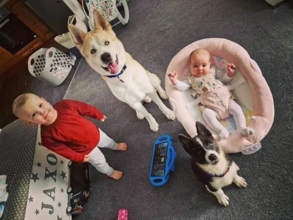 Discover the Unbreakable Bond Between a Dog and His Human Siblings-1