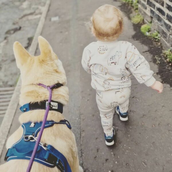 Discover the Unbreakable Bond Between a Dog and His Human Siblings-1