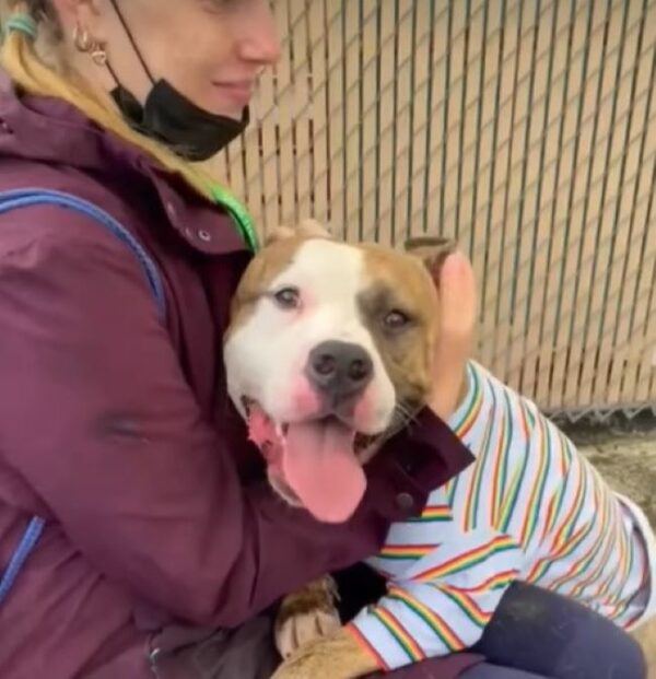 From Shelter to Smiles: Discover How a Viral Video Changed One Dog's Life-1