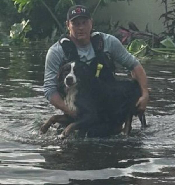 La mirada inolvidable: la profunda gratitud de un perro en medio del caos de las inundaciones en Florida-1