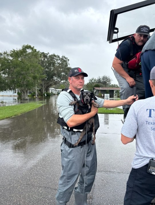 The Unforgettable Gaze: A Dog's Deep Gratitude Amidst Florida's Flood Chaos-1