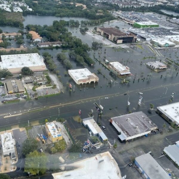 La mirada inolvidable: la profunda gratitud de un perro en medio del caos de las inundaciones en Florida-1