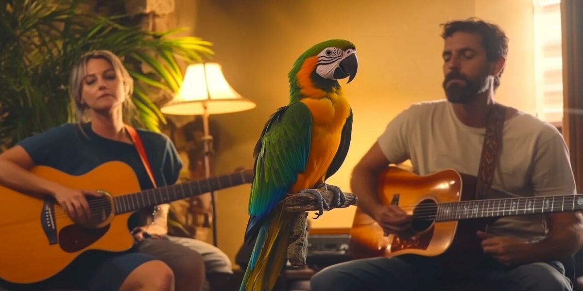 When a Parrot's Song Leaves Everyone Breathless